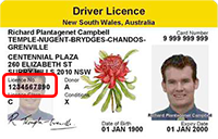 sample NSW licence